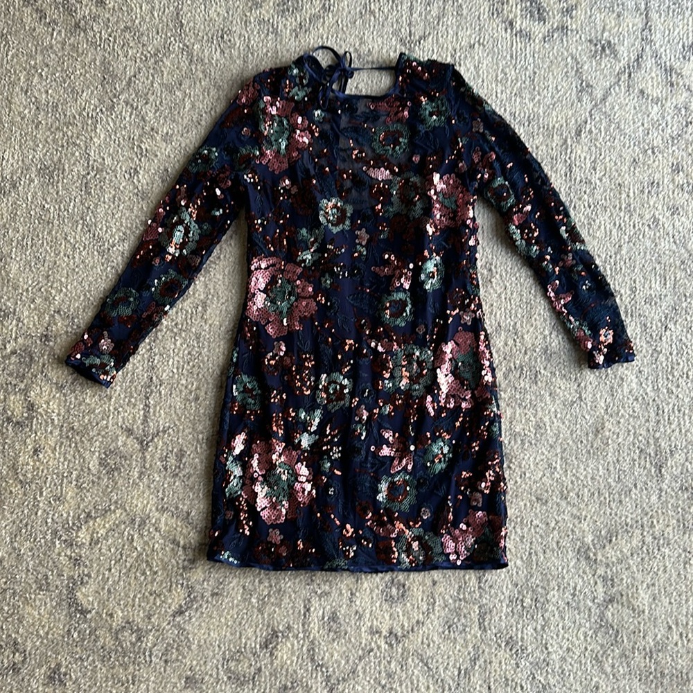 Anthropologie Sequins Dress